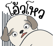 857250080