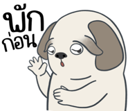 857250084