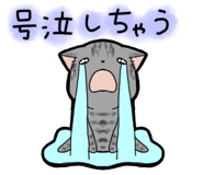 857250285