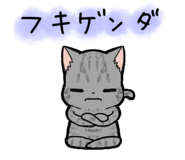 857250294