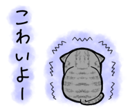 857250296