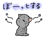 857250300