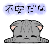 857250302