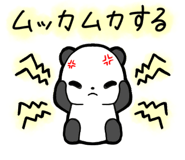 857250500