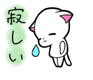857250540