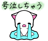 857250541