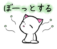 857250555