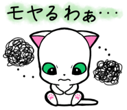 857250556
