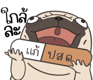 857251313
