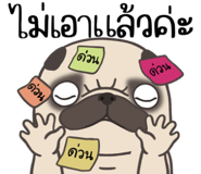 857251318