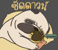857251324
