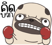 857251329