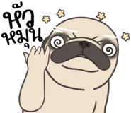 857251336