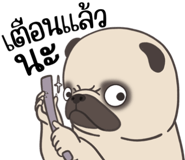 857251337
