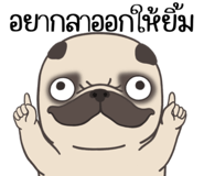 857251352