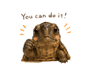 857265828