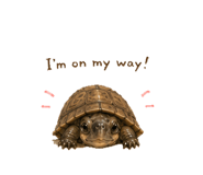 857265833