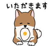 857266446