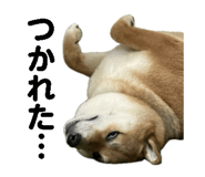 857266832