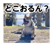 857266847