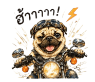 857267177