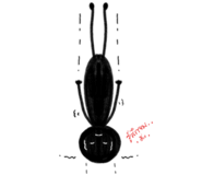 857267733
