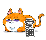 857268464