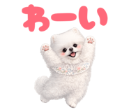 857271494