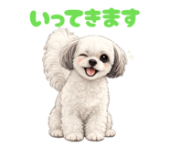 857271535