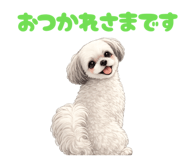 857271538