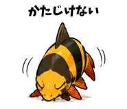 857271651