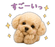 857272681