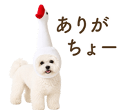 857273192