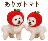 857273195