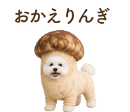 857273204