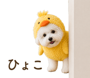 857273213