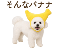 857273216