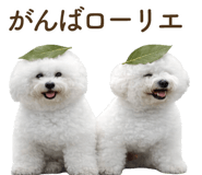 857273220