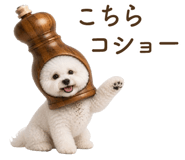 857273223
