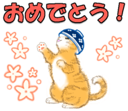 857273356