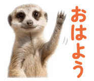 857273425