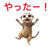 857273435