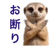 857273451