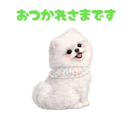857274477