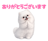 857274479