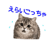 857293540