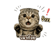 857317579