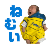 857317686
