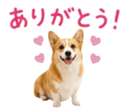 857321441