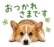 857321444